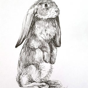 RabbitPenInk