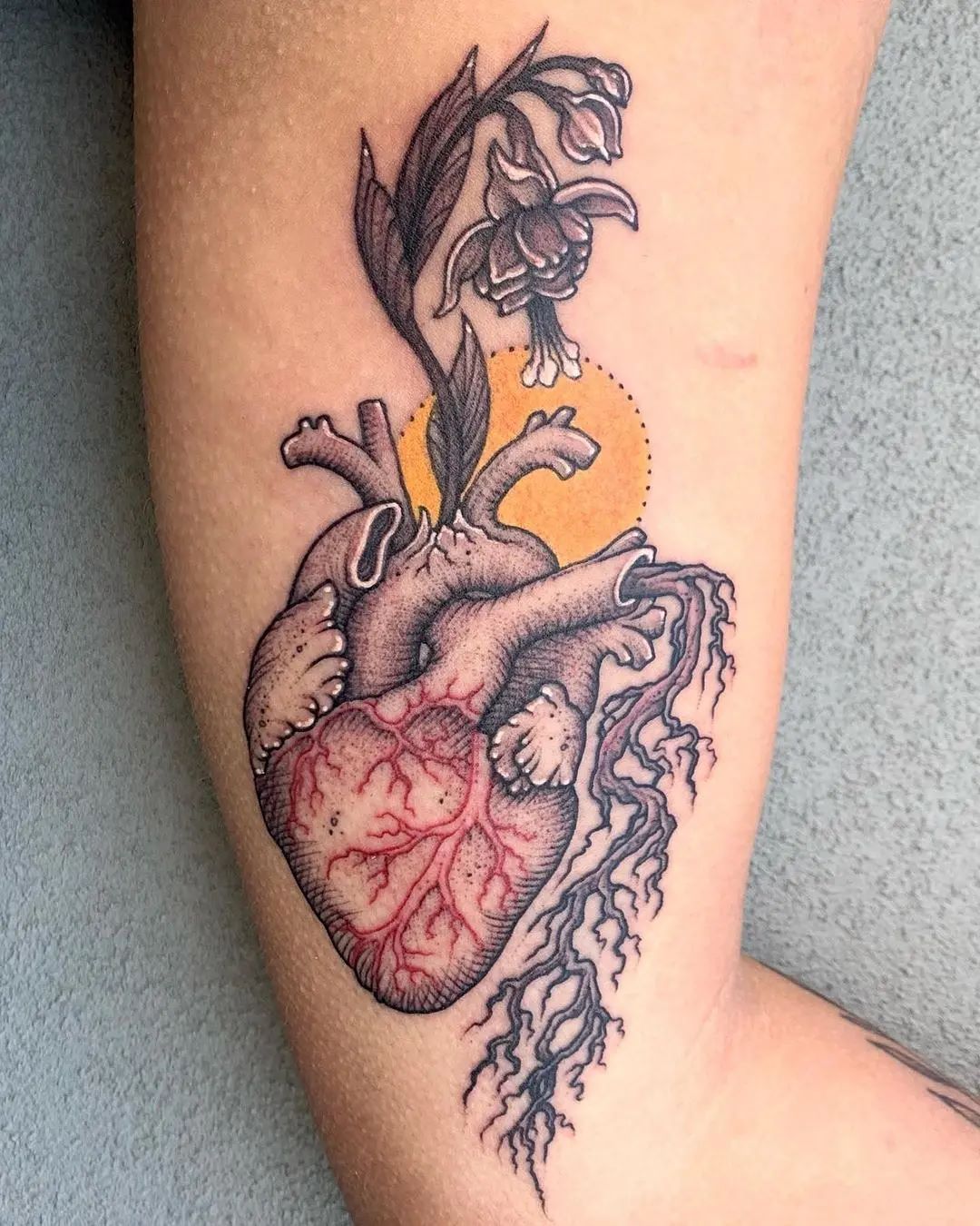 120 Realistic Anatomical Heart Tattoo Designs for Men (2021) With Meanings  | Anatomical heart tattoo, Anatomical tattoos, Anatomy tattoo